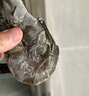 良满鲜福建漳州活冻大号黑虎虾 无冰净重2斤30-40只/盒海鲜礼盒家庭聚餐 实拍图