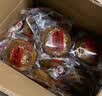 荣欣堂太谷饼山西特产早餐传统原味小吃糕点点心老式休闲零食750g 原味750g 实拍图
