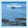 鲜京采 宁波长街蛏子净重2斤装（约90只）鲜活发货 海鲜贝类 源头直发  实拍图