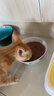 麦富迪猫罐头 红肉猫罐头猫咪零食成幼猫补水亮毛吞拿鱼鸡肉170g*24罐 实拍图