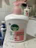 滴露（Dettol）健康抑菌洗手液滋润倍护500g 消毒抑菌99.99% 儿童适用不含酒精 实拍图
