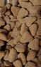 宝路狗粮老年犬狗粮 牛肉味1.8kg全犬种通用老年犬狗粮全价粮  实拍图