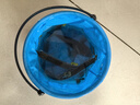 君乐宝（JUNLEBAO）简醇梦幻盖0添加蔗糖常温酸奶255g*10瓶风味酸牛奶礼盒装 实拍图