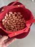 三只松鼠开心果500g/袋装 坚果炒货无漂白干果休闲零食品送礼 实拍图