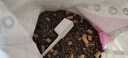 LEGENDSANDY蓝氏全价猫粮生鲜高能系列成猫幼猫 试用 试吃 猎鸟乳鸽 50g*5 实拍图