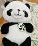 名创优品（MINISO）坐姿熊猫毛绒公仔毛绒玩具玩偶布娃娃抱枕送儿童礼物生日礼物女 实拍图