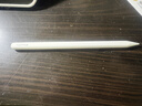 Apple/苹果【教育优惠】Pencil Pro 磁吸触控笔苹果笔电容笔iPad笔 适用于iPad mini/Pro/Air 实拍图