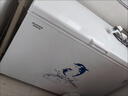 澳柯玛（AUCMA）双温系列203升双箱家用冰柜 冷藏冷冻卧式双门钢板冰箱冷藏全铜管一级能效 BCD-203CNE以旧换新 实拍图