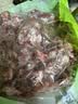 七环牧场漫养土猪 带肉猪脊骨 土猪肉 骨头 排骨 汤骨块 猪肉生鲜食材 带肉脊骨 净重5斤 实拍图
