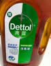 滴露（Dettol）消毒液消毒水衣物除菌液洗衣服地板杀菌除螨消毒喷雾片非84次氯酸 【超值量贩】松木1.8L*3瓶 实拍图