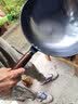 章丘炒菜锅传统铁锅家用老式圆底炒锅不粘锅无涂层燃气灶适用铁锅 【圆底光版】精品铁锅 34cm 实拍图