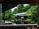 AOC 26.5英寸2K 原生280Hz 四代WOLED 10Bit HDR500 硬件低蓝光TUV 典雅白电竞游戏显示器Q27G4ZDP/WS 实拍图