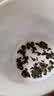 音朗 乌龙茶叶安溪铁观音500g 2026新茶兰香耐泡木桶茶叶礼盒送长辈 实拍图