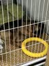 ZEAL狗狗宠物零食风干小牛肋骨500g零食磨牙棒肉干骨头耐啃新西兰进口 实拍图