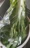 良知农哥【顺丰/JD】东北新鲜白菜叶饭包大白菜叶子打包 新鲜蔬菜 40片菜叶+酱 【顺丰/JD陆运】 实拍图