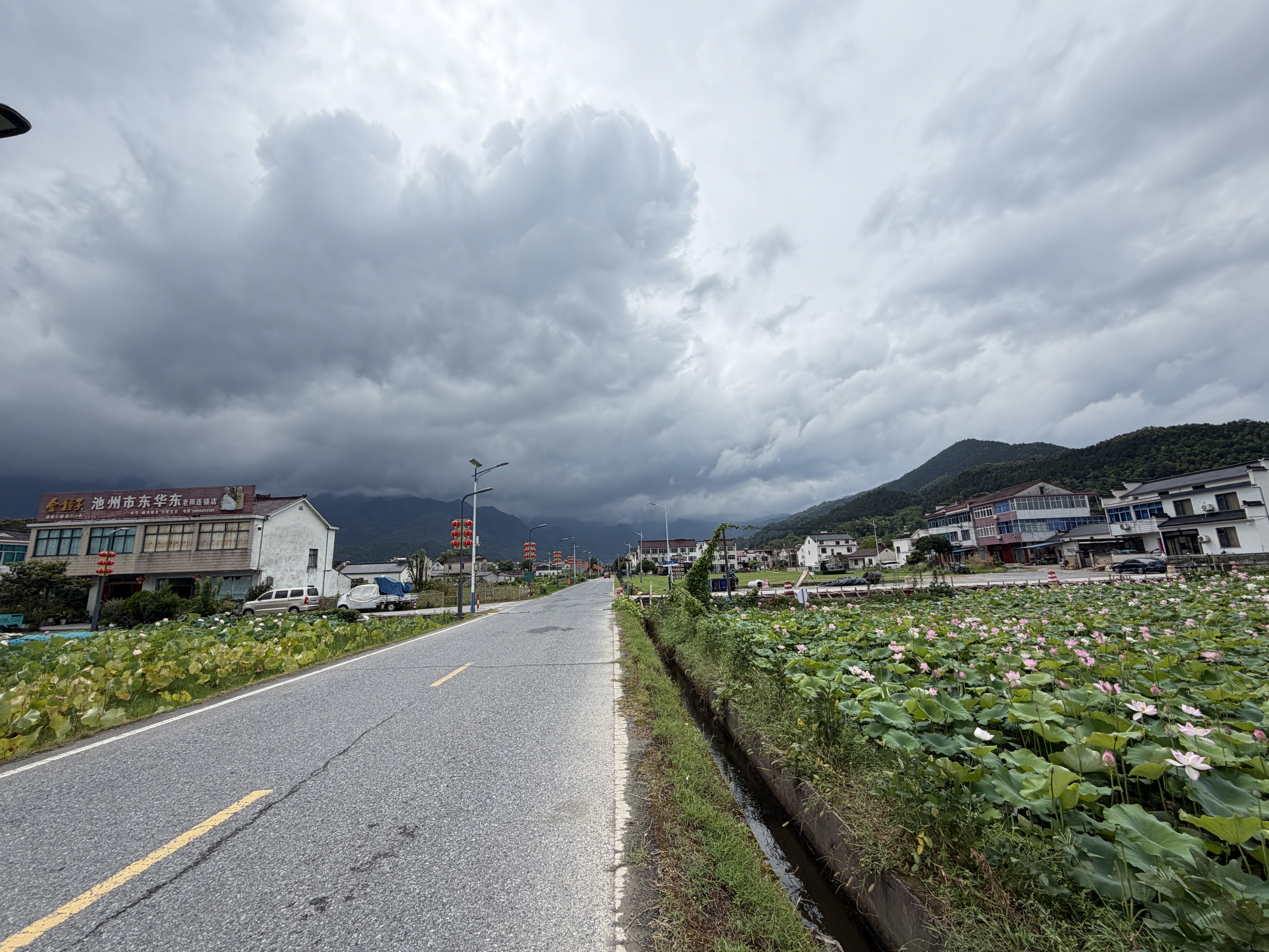 500只特厚垃圾袋家用手提式加厚抽绳大号厨房桶自动拉收口级印花 【粉色猫咪款】加大加厚 1000只装 实拍图