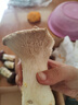 【京东空运】云南新鲜菌菇组合煲汤打边炉菌火锅炖汤蘑菇多种菌菇 七彩鲜菌组合净重1500g 实拍图