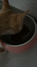 顽皮（Wanpy）果饭儿畅轻系列全价猫粮鸡肉三文鱼口味2kg 护肠营养主食干粮 实拍图