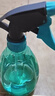 喷壶浇花浇水喷雾器气压式喷水壶家用园艺养花500ml 南瓜喷壶透蓝【1个装】 实拍图