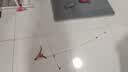 灵宠物语逗猫棒猫玩具4只装猫咪玩具小猫玩具自嗨神器逗猫玩具自嗨棒 实拍图