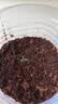 史丹利椰糠砖650g 椰土砖椰砖营养土脱盐花土耶砖种菜通用型 实拍图