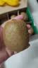 佳沛（zespri）绿奇异果 特大果6粒 单果约135-176g 水果礼盒 源头直发 实拍图