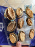 金唐 大连鲍鱼干60g 佛跳墙海鲜干货 煲汤火锅食材 礼品 源头直发包邮 实拍图