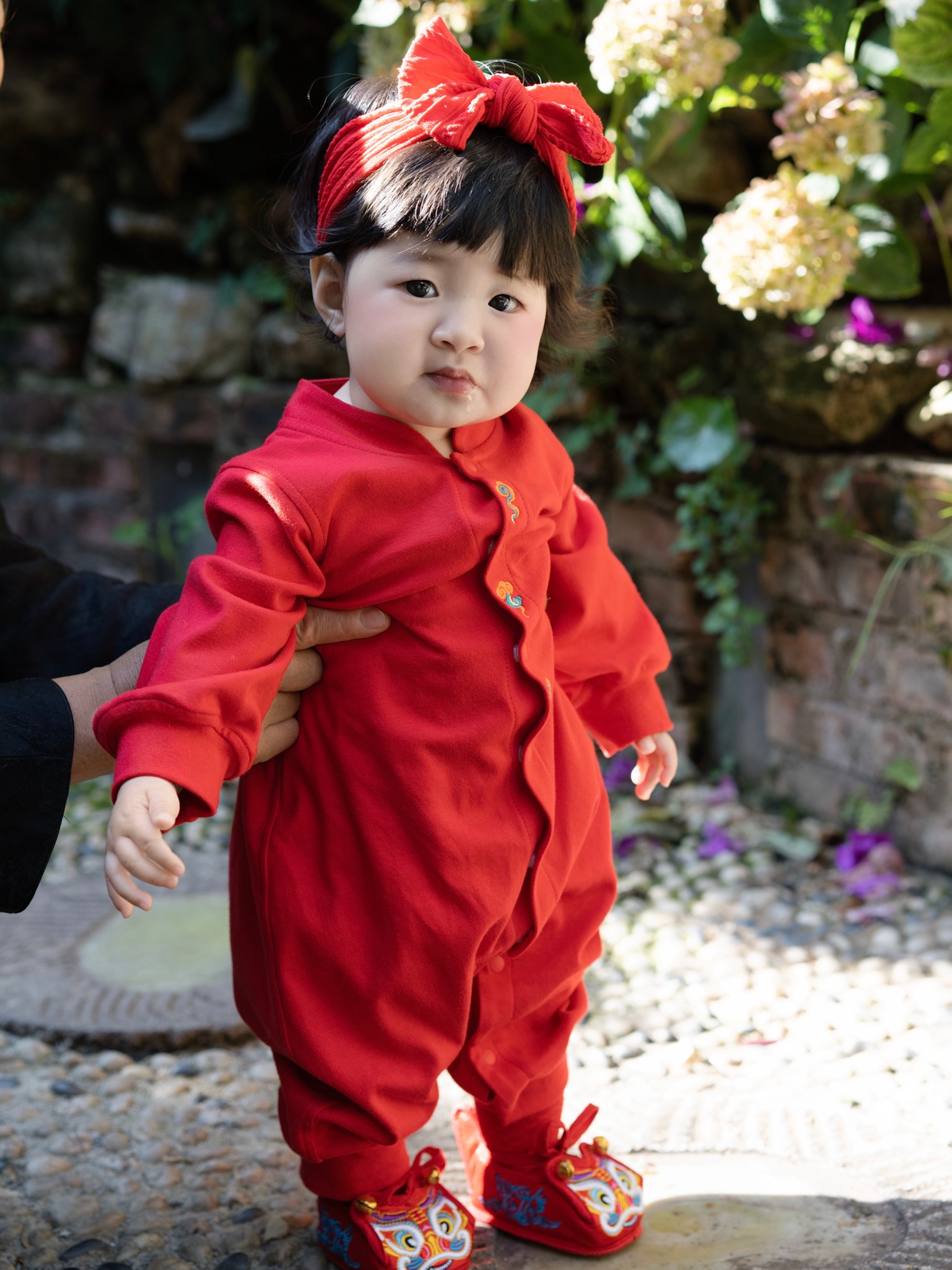 龙喜年秋季新品百天宝宝衣服女男婴儿红色中式满月百日宴周岁礼服 红色 锦绣凤来仪刺绣（预售6天） 73cm 推荐66-73cm 15-18斤 晒单实拍图