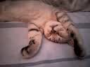 萨洛蒙（Salomon）男女款 户外运动 徒步多功能舒适透气双肩背包 XT 15 RMU SET 黑色 C25362 均码 实拍图