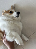 耐吉斯鲜肉Pro夹心冻干狗粮1.5kg*4包成犬益生菌鸭肉梨泪痕管理 实拍图