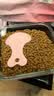 皇家猫粮 幼猫奶糕 幼猫猫粮 BK34 通用粮 1-4月 2KG 实拍图