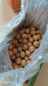 京东京造新疆阿克苏薄皮核桃2.5kg原味新货纸皮节日礼盒每日坚果特产零食 实拍图