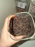 七彩雲南茶叶 普洱茶熟茶 勐海 名门普洱 特级散茶200g/罐 可泡陈皮 实拍图