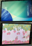 Apple/苹果 iPad 11英寸 A16芯片2025年款 平板电脑 (256GB WLAN版/学习办公娱乐)银色 实拍图