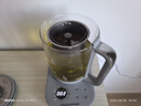 小熊（Bear）纯钛养生壶 喷淋式煮茶器 煮茶泡茶壶 0胶水 1.5L大容量 保温烧水一体 ZCQ-K15J3 实拍图