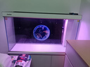 森森（SUNSUN）大型鱼缸底过滤水族箱客厅家用落地玻璃生态金鱼缸 【实时温显+灯控】珍珠白 1.2米长35cm宽 实拍图