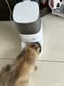 霍曼（Homerun）Real智能自动喂食器猫粮定时猫猫咪自动投食机PF20（不锈钢碗） 实拍图