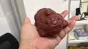 玉颐阁送礼佳品宜兴紫砂茶宠摆件精品可养手工茶玩招财小貔貅威震四方 大红袍款 实拍图