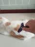 富美内特（FURminator）梳子猫咪去浮毛底绒梳开结梳猫毛梳美短英短暹罗美毛短毛猫大号 实拍图