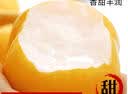 京地达秋月梨砀山蜜梨香梨梨子新鲜水果净重4.8斤单果300g+源头直发包邮 实拍图
