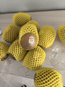 佳沛（zespri）新西兰阳光金奇异果10粒巨大果单果146-175g 猕猴桃水果礼盒 实拍图