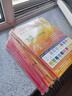 易利丰（elifo）彩色打印纸红色a4纸 大红纸 彩纸儿童手工纸折纸复印纸彩色纸企业级A4-70g-100张 实拍图