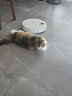 生生不息主食冻干猫粮主食成猫幼猫全价生骨肉猫粮牛肉配方400g 实拍图