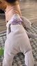澳贝（auby）婴幼儿童玩具星座小兔安抚巾宝宝哄睡神器新生儿安抚玩偶满月礼物 实拍图