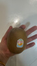 佳沛（zespri）新西兰阳光金奇异果40粒全家福 10斤原箱猕猴桃水果礼盒源头直发 实拍图