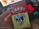 【卡通款】江中利活 乳酸菌素片 36片/盒 益生菌儿童 益生菌调理肠胃 消化不良 肠炎便秘 拉肚子药 腹泻 实拍图