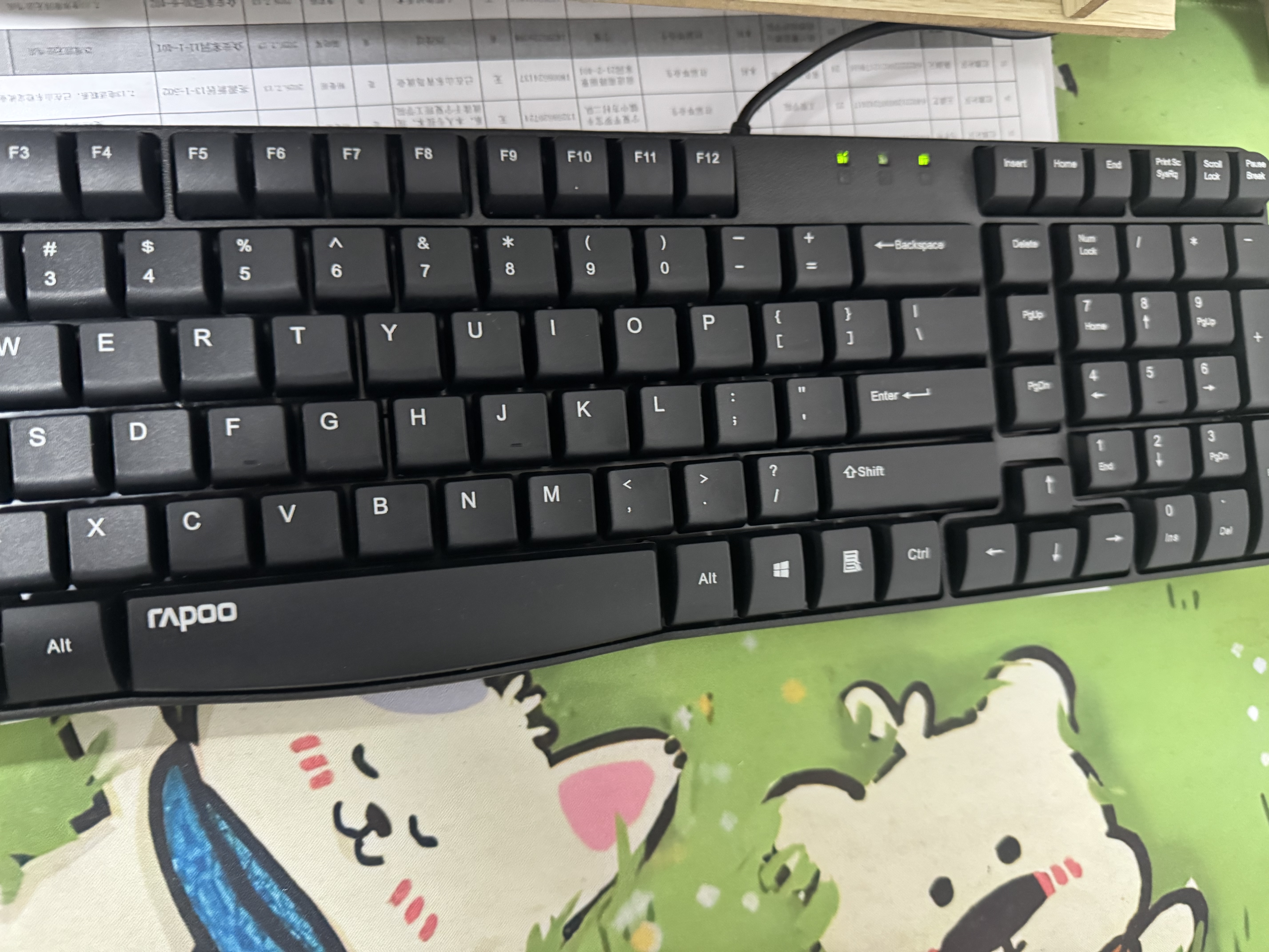 雷柏（Rapoo）X100S 键鼠套装 有线键鼠套装 办公键盘鼠标套装 防泼溅 电脑键盘 笔记本键盘 黑色 实拍图