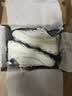 斯凯奇（Skechers）奶茶熊女鞋秋冬季厚底老爹鞋软底熊猫鞋休闲运动鞋 实拍图