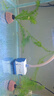 森森（SUNSUN）耀蓝鱼缸水泵小型潜水泵过滤泵抽水泵YQP-500 6W 实拍图