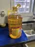 鲁花食用油 物理压榨 非转基因 玉米油6.18L 家用粮油 健康植物油 实拍图